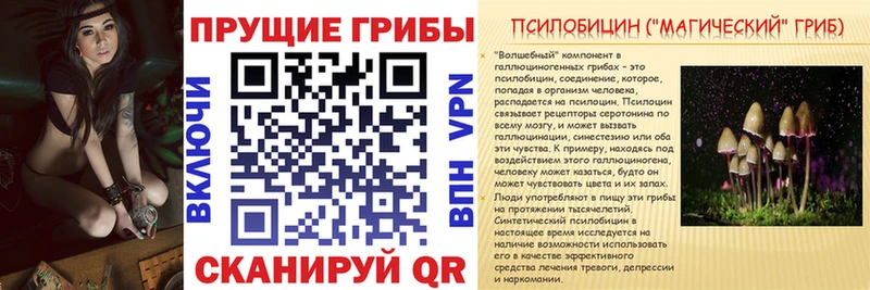 Галлюциногенные грибы ЛСД  где купить наркоту  Архангельск 