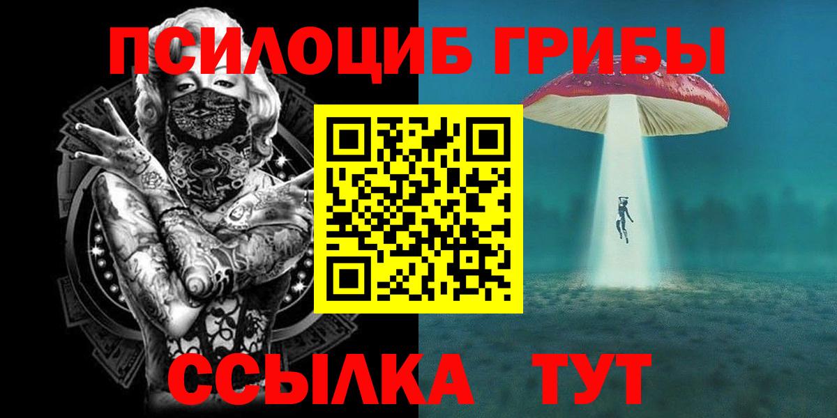Псилоцибиновые грибы прущие грибы  Вход с VPN  что такое   Архангельск 