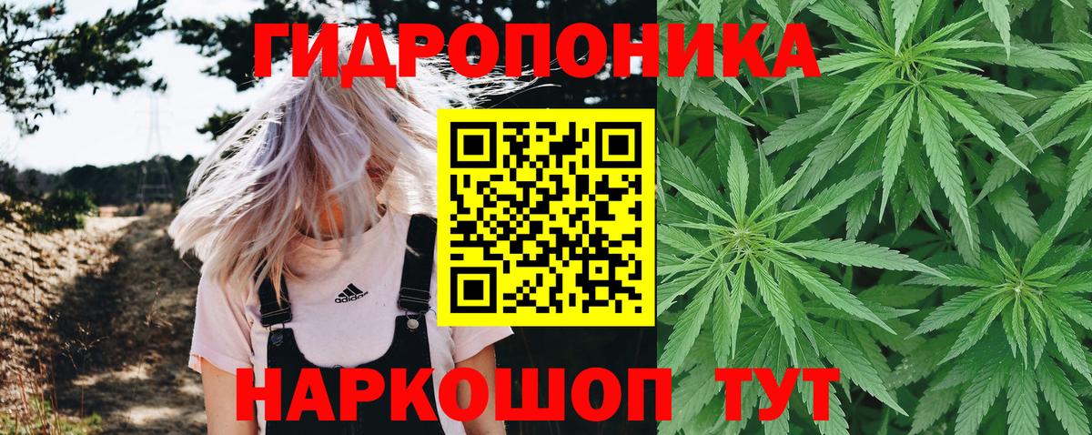 Каннабис марихуана  Бошки Шишки конопля  Бошки марихуана Bruce Banner  Архангельск  Вход с VPN 